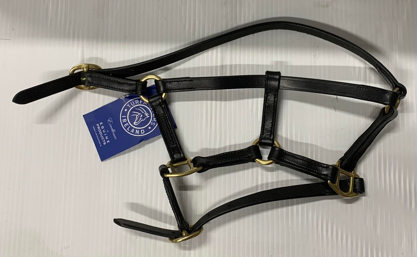 TM Leather Halter Foal 2