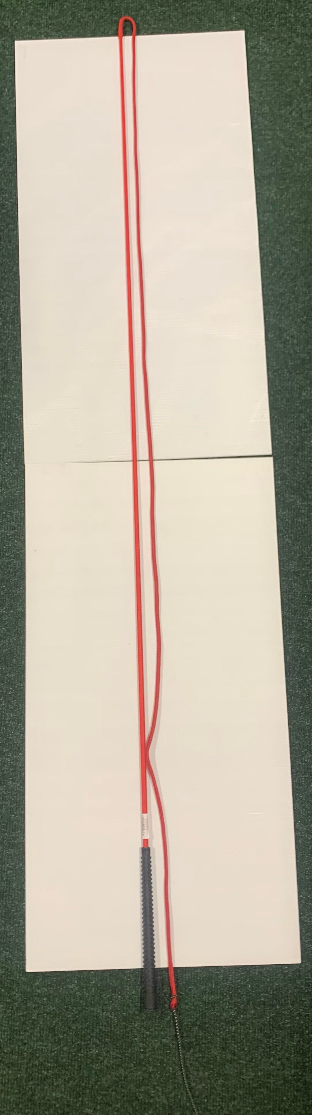 Economy Lunge Whip RED