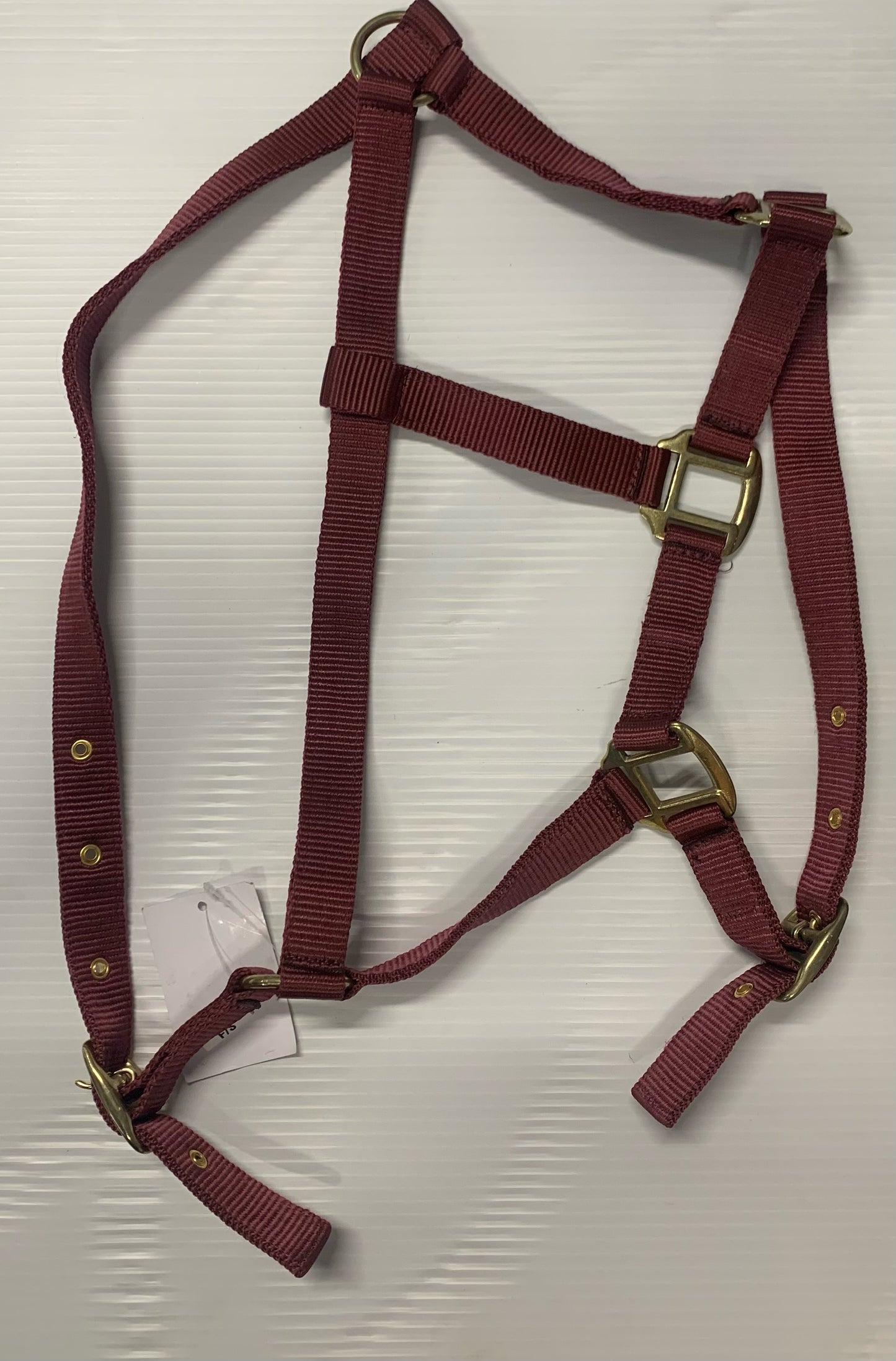 Economy Webbing Headcollars FULL (Burgundy)