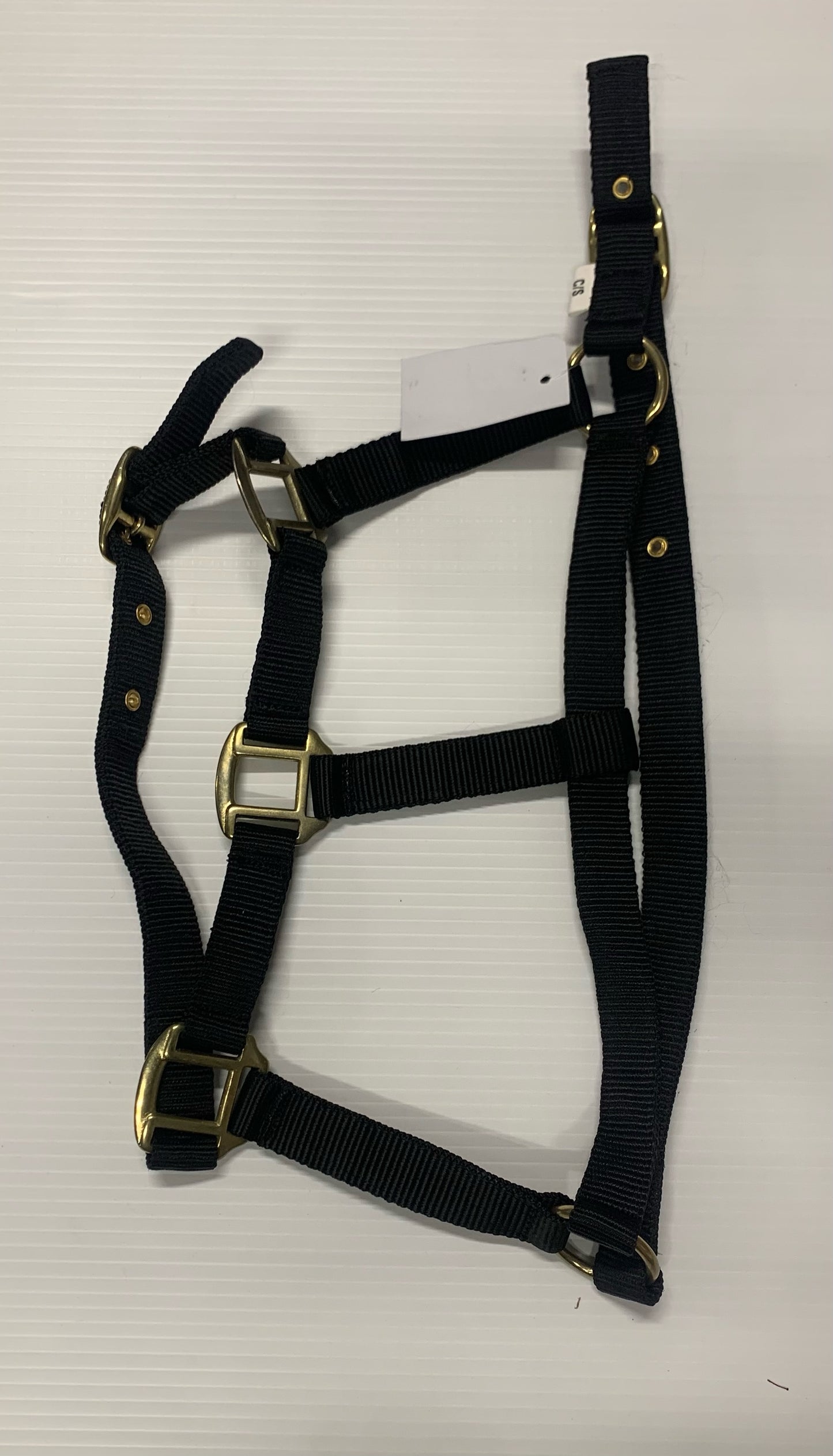 cob economy headcollar black