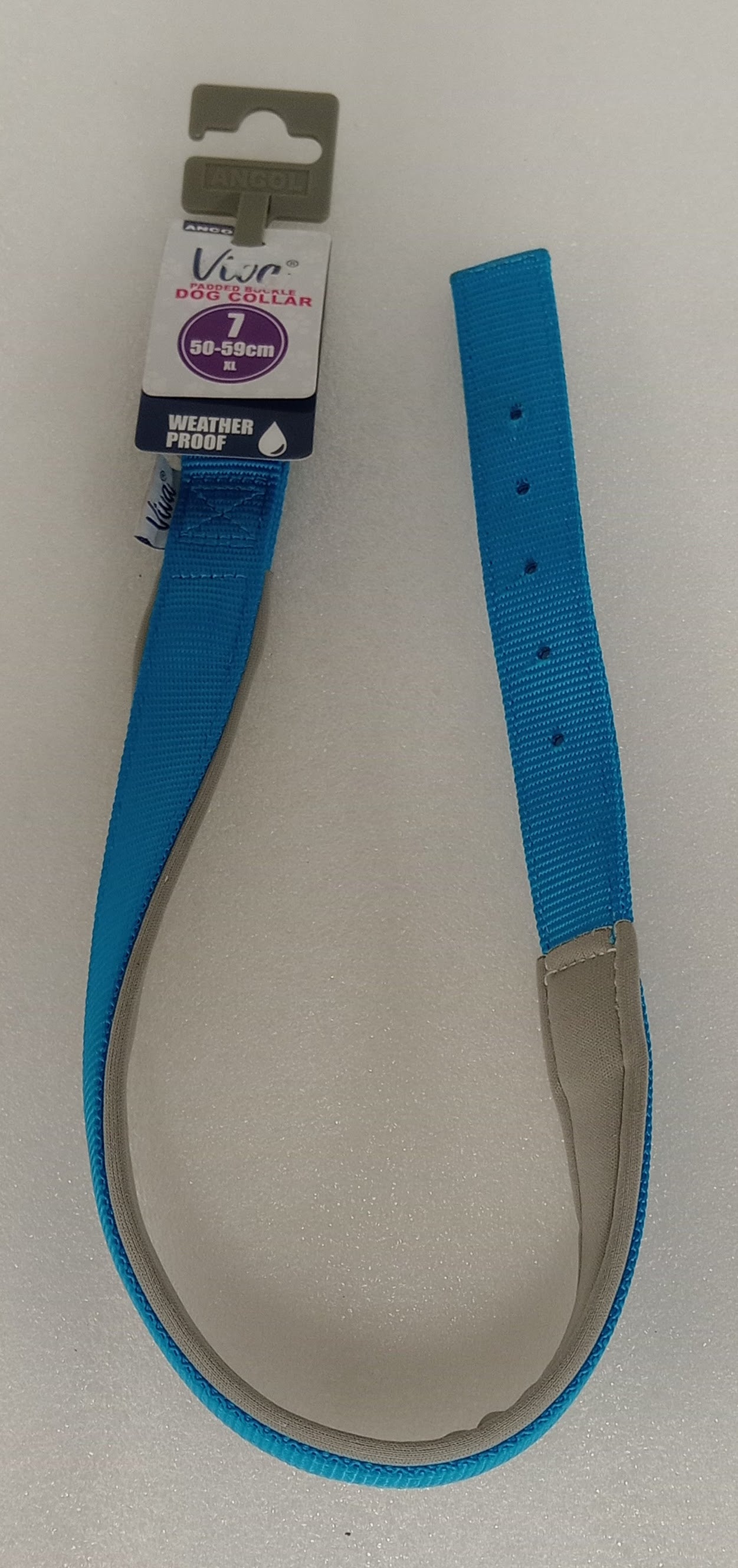 PADDED DOG COLLARD XL BLUE