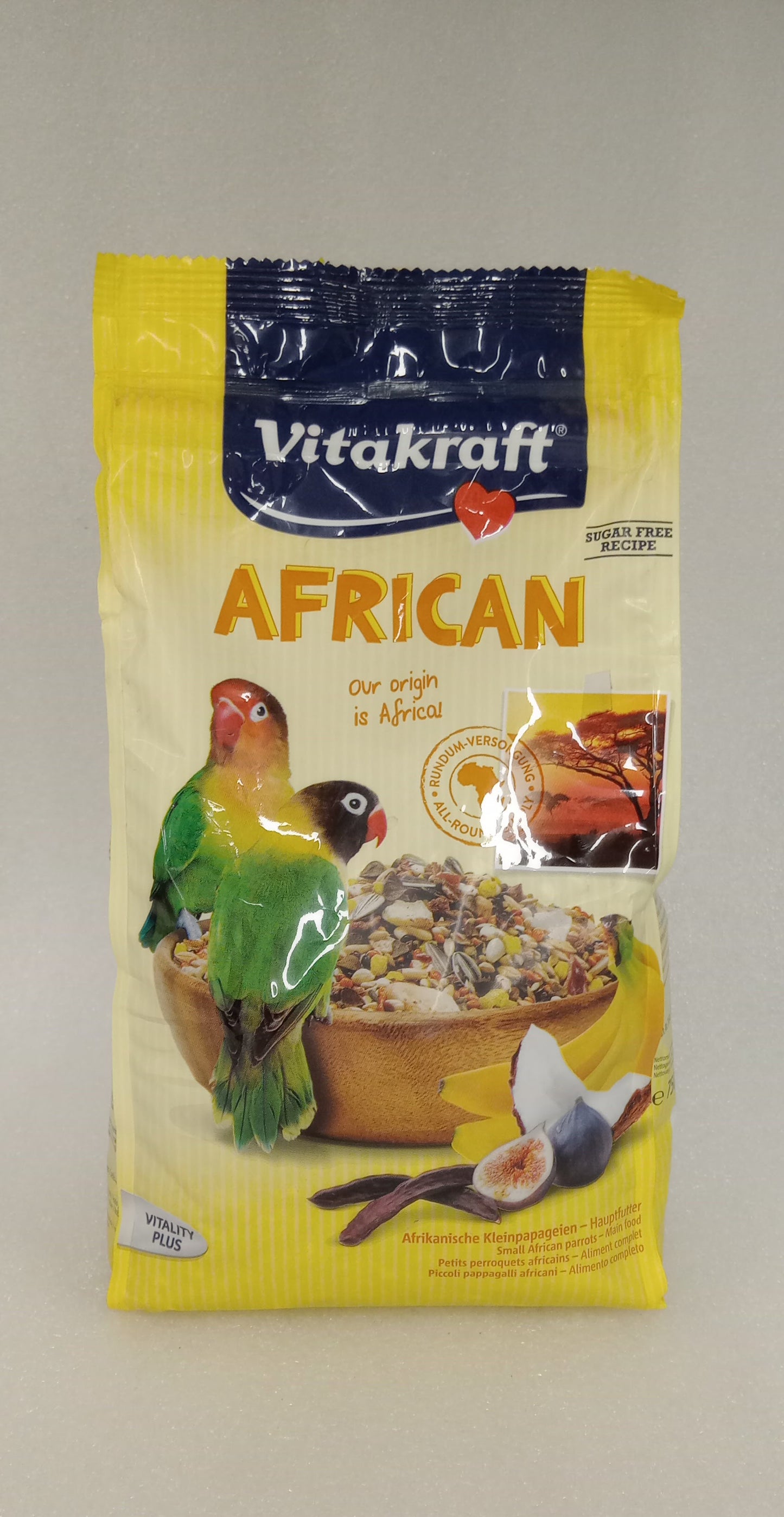 AFRICAN PARROT SMALL BIRD