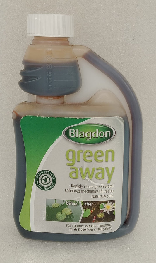 BLAGDON GREEN AWAY PONDS