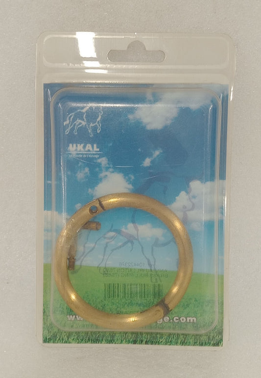 Brass Bull Ring