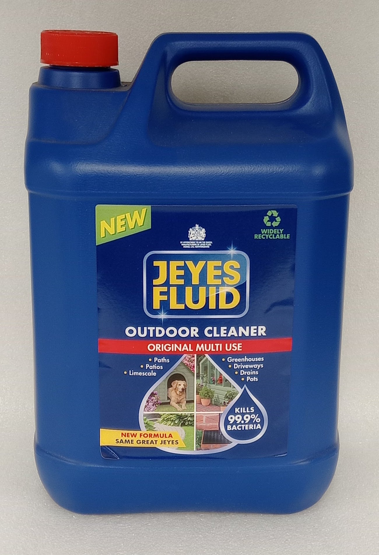 Jeyes Fluid New 5L